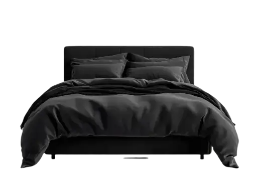 Modern Platform Bed – Black Finish